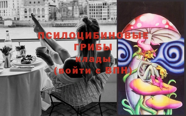 крисы Балахна