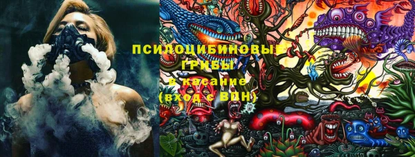 крисы Балахна